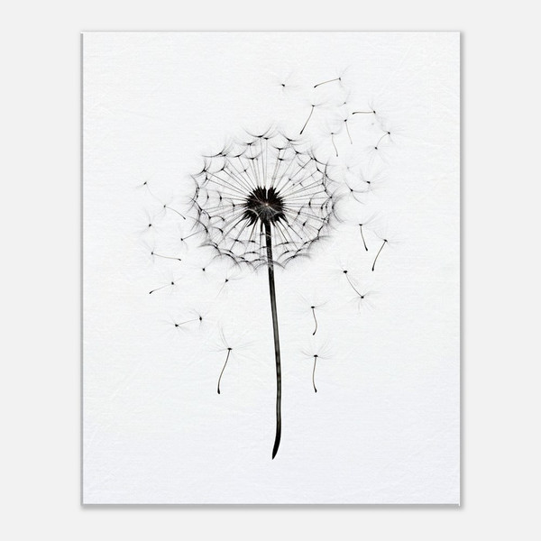 Black Dandelion's Farewell