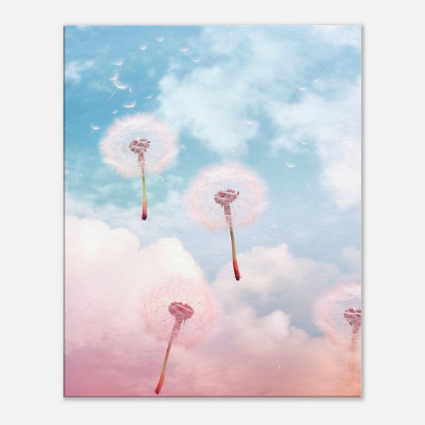Pink Puff Dandelion