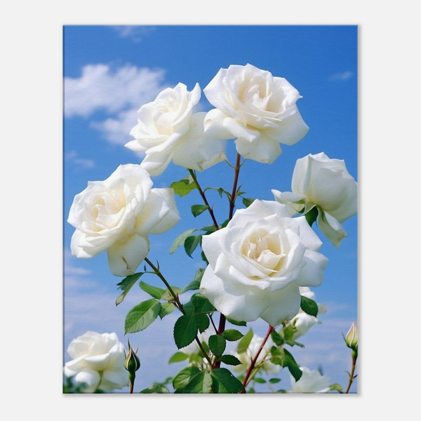 Gentle White Rose Harmony