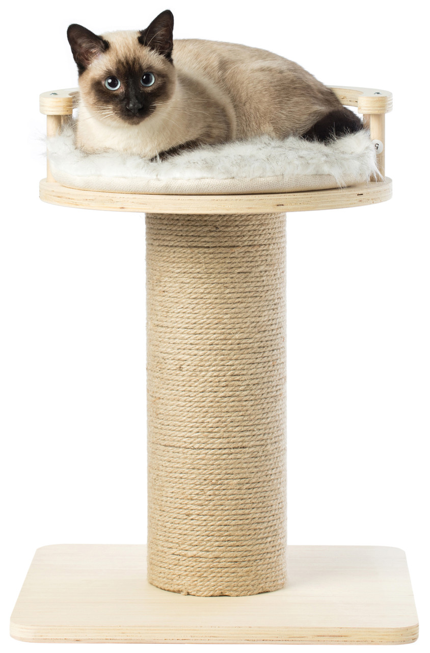 Wooden Cat Sisal Scratching Post Tree Tower with Seat Pet Bed