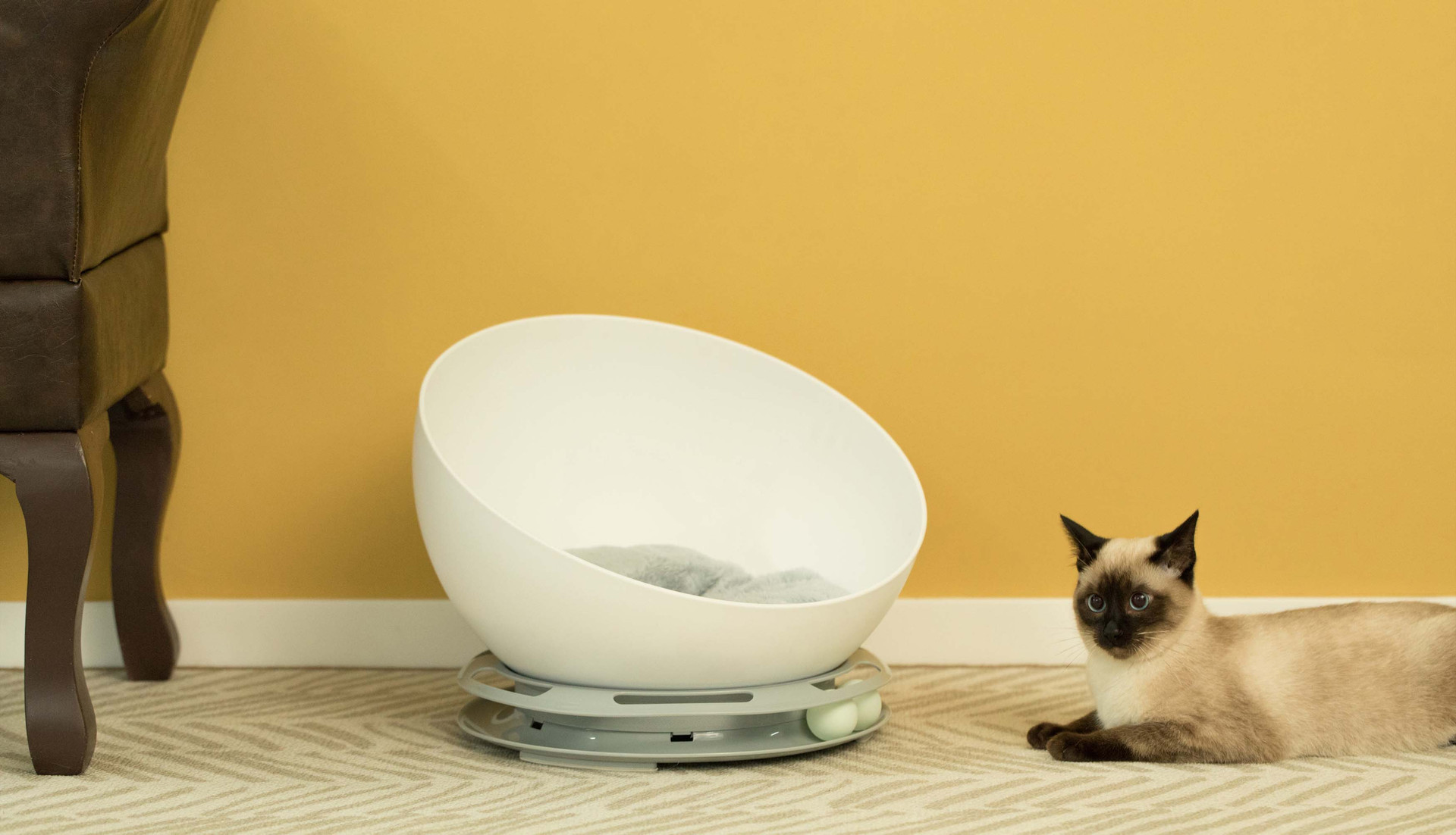 Plastic Bowl Shaped Sleeping Bed House Cat Cave Lounge with Ball Toy PawsMark