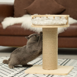 How to get a cat to use a scratching post? What is the best scratching post?  How to get a cat to use a scratching post? What is the best scratching post?