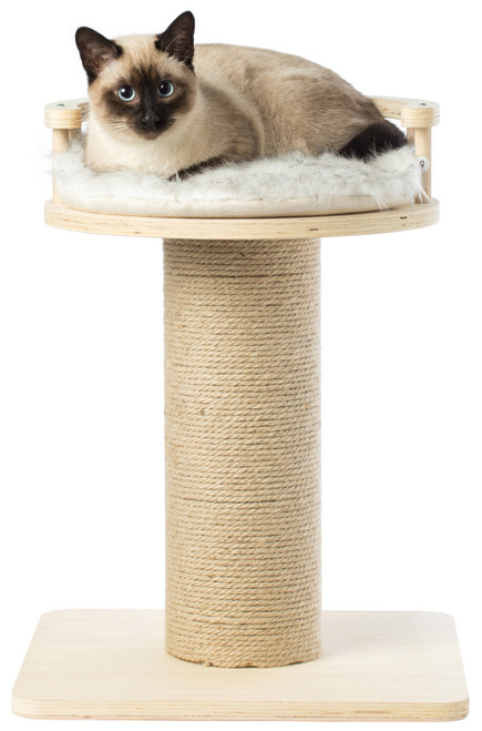 Wooden Cat Sisal Scratching Post Tree Tower with Seat Pet Bed Lounge