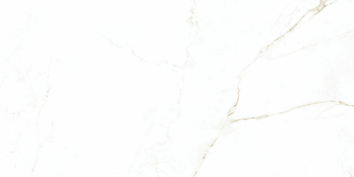 Dual Matte 12x24 Porcelain Tile