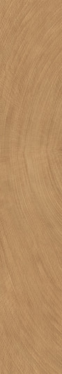 Two of 24 Faces Circles Walnut Porcelain Plank Tile