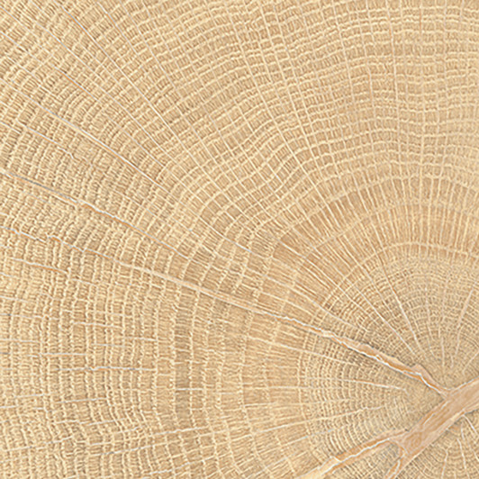 4 of 154 variations Circles Oak 4x4 Wood Porcelain