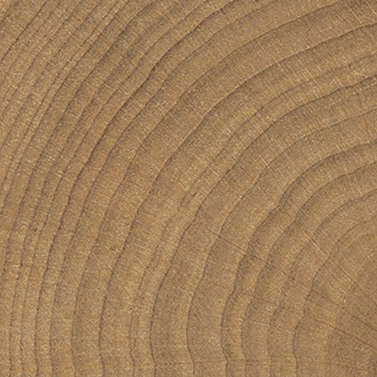 Tree ring detail Walnut 4x4 porclelain tile