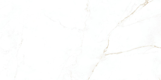 Detail Dual Porcelain Tile