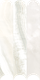 Crystal White Onyx Arches Mosaic - Venus Collection