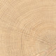 4 of 154 variations Circles Oak 4x4 Wood Porcelain