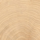 Two of 154 variations Circles Oak 4x4 Wood Porcelain