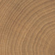 Tree ring detail Walnut 4x4 porclelain tile