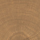Detail 1 of 154 faces Circles Walnut 4x4 Tile