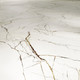 Close-up of Patagonia Veins