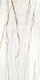 Rainforest 24x48 Large Format Tile