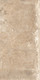 Windsor Beige 24x48 by Rondine