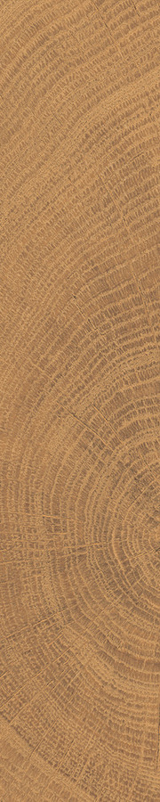 detail circles walnut small format wood look tile