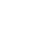 sale icon
