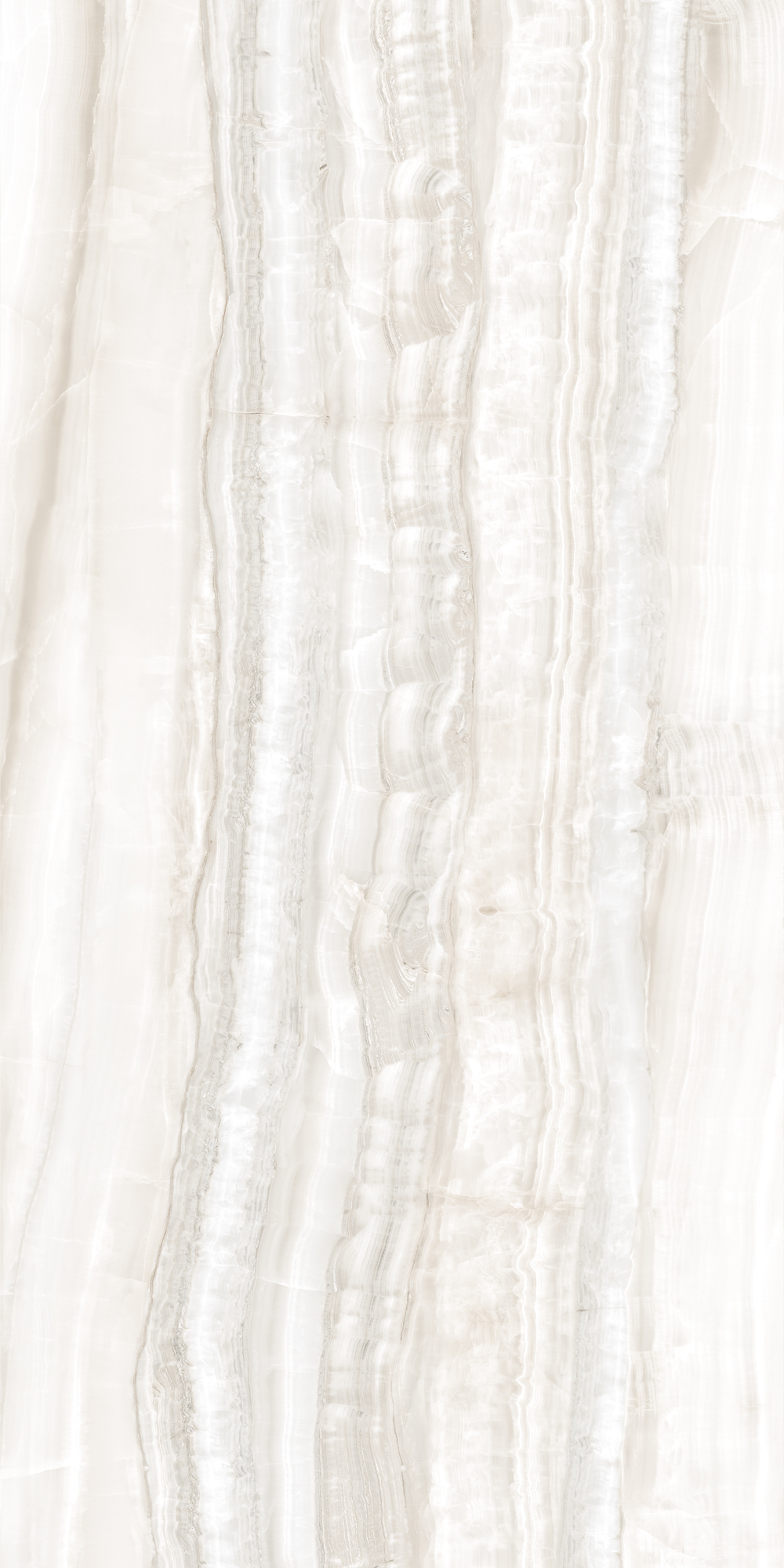 Bold veins in Venus Veincut 24x48 Onyx look porcelain