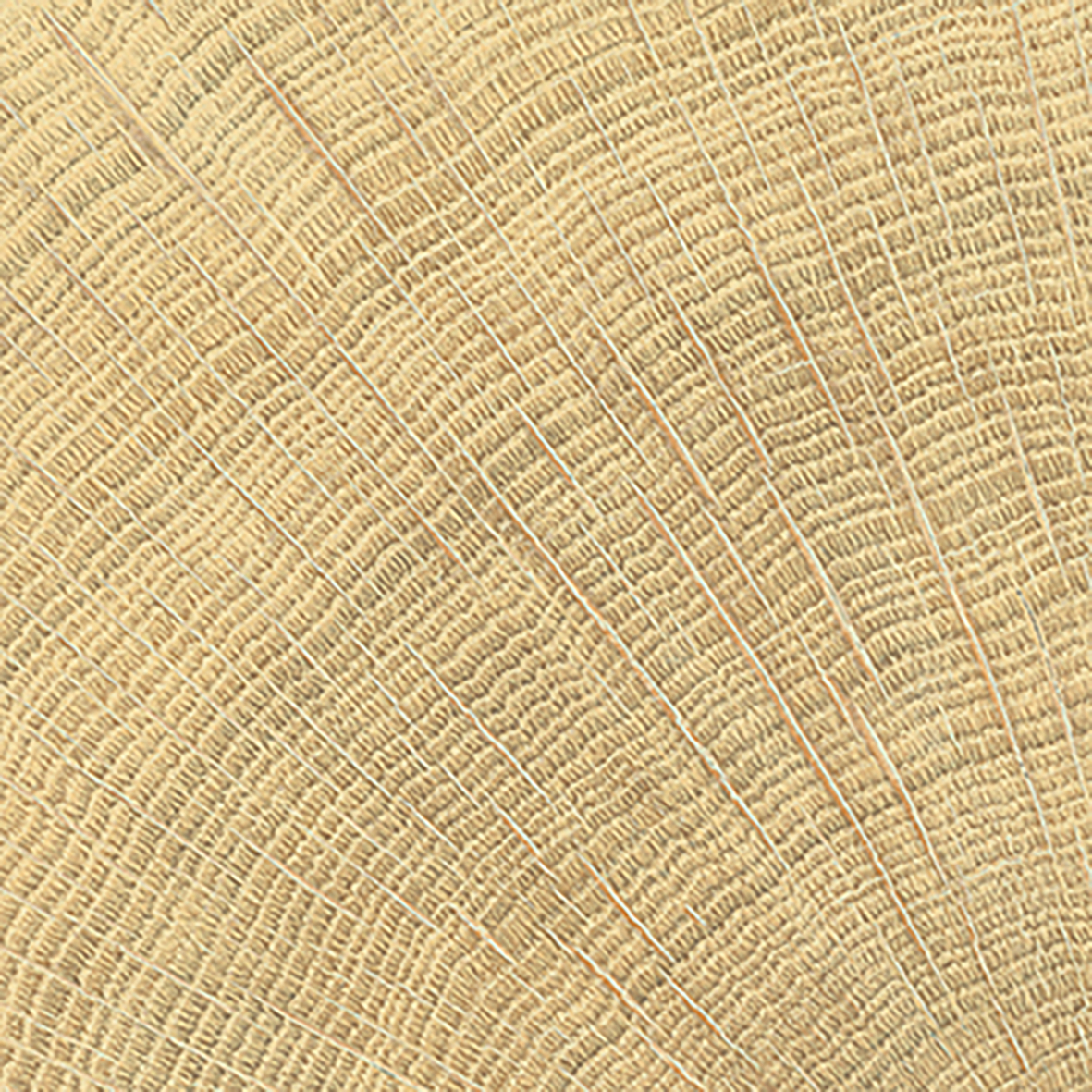 One of 154 variations Circles Oak 4x4 Wood Porcelain