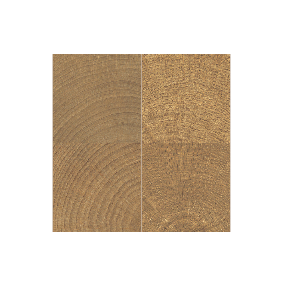 Circles Walnut 4x4 small format wood look porcelain