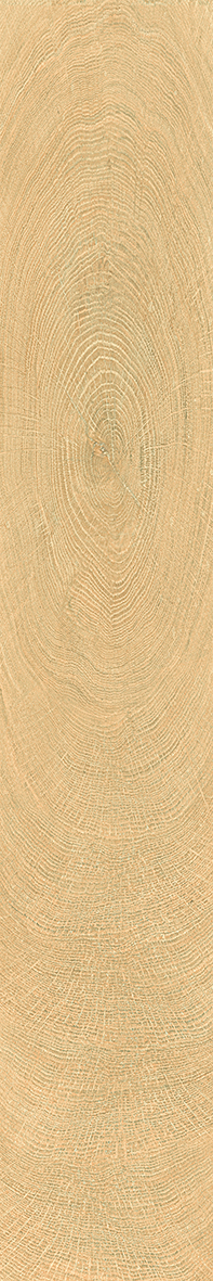 Circles oak Brick detail