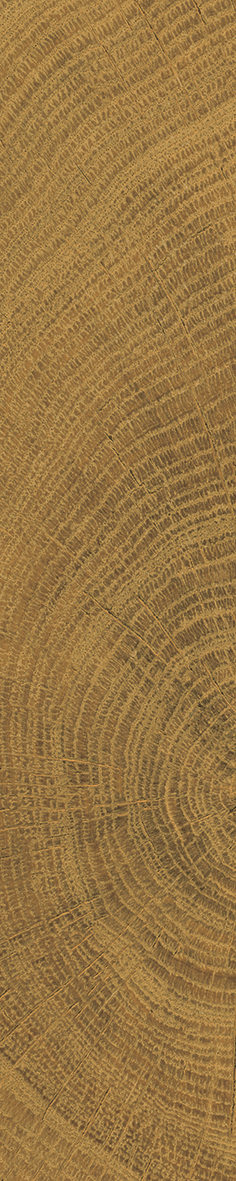 detail circles walnut small format wood look tile