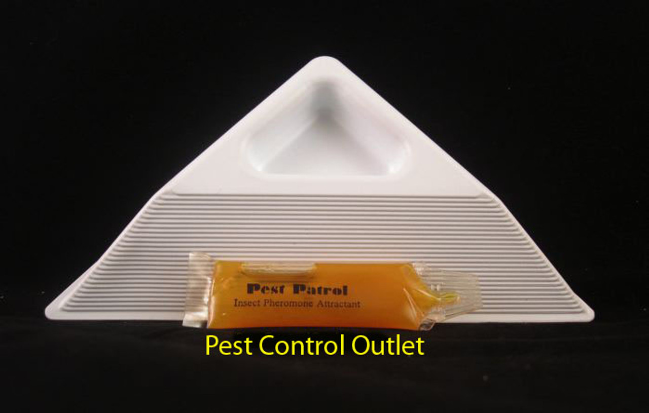 BugMD Pantry Pest Patrol (6 Count) - Moth Traps for Kitchen, Pantry Moth Trap, Kitchen Moth Trap