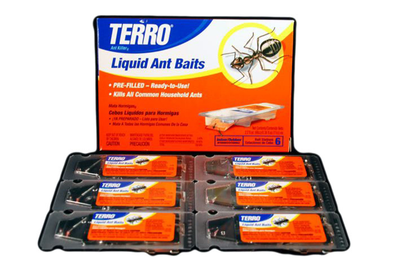 Rid Your House Of A Summer Infestation With Terro Liquid Ant Bait