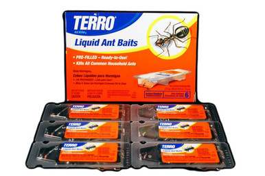 Terro Liquid Ant Baits Stock Photo - Download Image Now - Ant, Incentive,  Poisonous - iStock