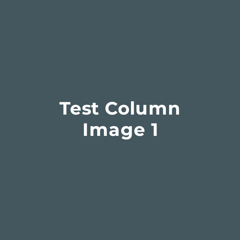 test image