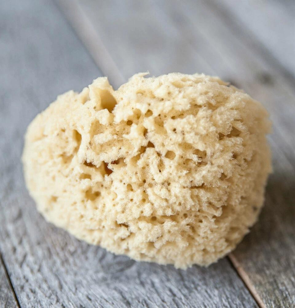 Natural Dead Sea Sponge, 3" 4"