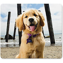 Fellowes Recycled Mouse Pad - Puppy at Beach - Puppy - 8 inch; x 9 inch; x 0.1 inch; Dimension - Multicolor - Rubber Back - Slip Resistant, Scratch Resistant