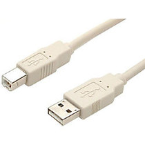 StarTech.com 6 ft Beige A to B USB Cable - M/M