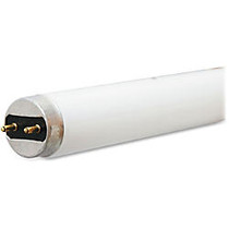 GE Ecolux T8 Fluorescent Lamps, 25-Watt, Carton of 36