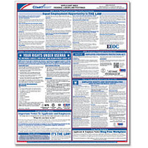 ComplyRight Federal Applicant Area Poster, English, 16 inch; x 20 inch;