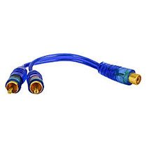 db Link Jammin' JLY2MZ Audio Y-Cable