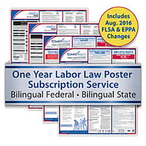 ComplyRight Federal/State Labor Law Posters And 1-Year Subscription Service, Bilingual, Florida