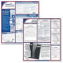 ComplyRight Federal/State Labor Law Posters Kit, English, Florida