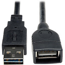 Tripp Lite 6in USB 2.0 High Speed Extension Cable Reversible A to A M/F