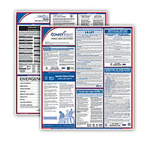 ComplyRight&trade; Florida Federal/State Labor Law Spanish Poster Kit, 27 inch; x 24 inch;