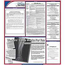 ComplyRight&trade; Hawaii State Labor Law Poster, 32 3/4 inch; x 24 inch;