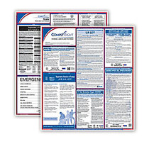 ComplyRight&trade; Texas Federal/State Labor Law Spanish Poster Kit, 24 inch; x 24 inch;