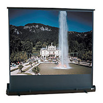 Draper Road Warrior Portable Projection Screen