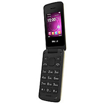 BLU Diva Flex 2.4 T350 Cell Phone, Gold, PBN200938