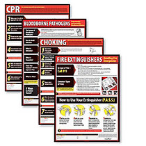 ComplyRight&trade; Lifesaving Poster Set