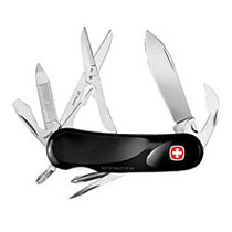 Swiss Army Evolution 16 Knife, Black