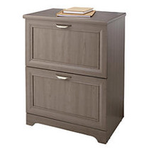 Realspace; Magellan Collection 2-Drawer Lateral File Cabinet, 30 inch;H x 23 1/2 inch;W x 16 1/2 inch;D, Gray