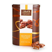 Lindt Milk Chocolate Pecan Caramel Cluster Gift Tin, 7.9 Oz