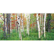 Biggies Wall Mural, 27 inch; x 54 inch;, Aspen Grove